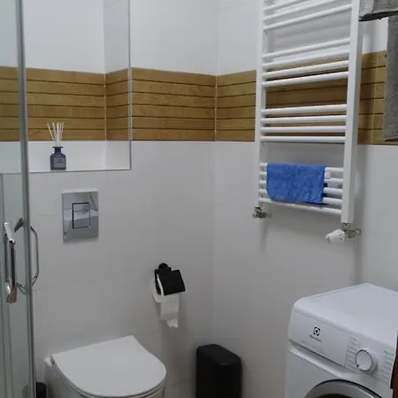 Apartament Delux 2 *