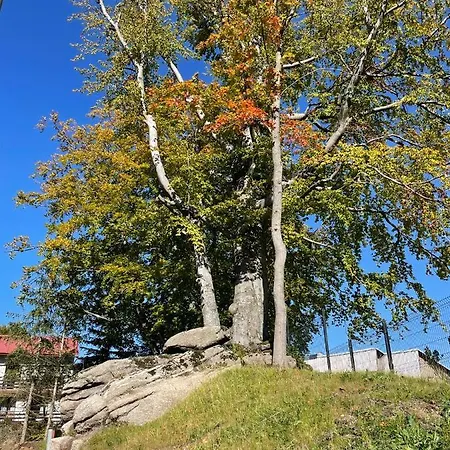 Delux 2 * Szklarska Poreba