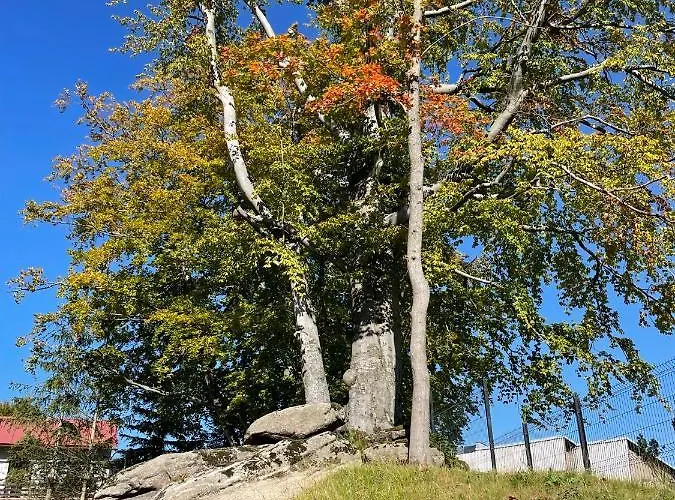 Delux 2 * Szklarska Poreba